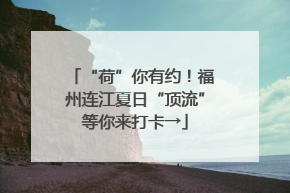 “荷”你有约！福州连江夏日“顶流”等你来打卡→