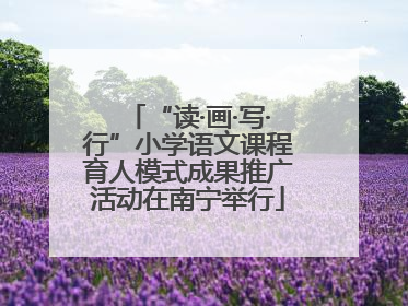 “读·画·写·行”小学语文课程育人模式成果推广活动在南宁举行