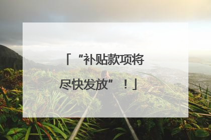 “补贴款项将尽快发放”！