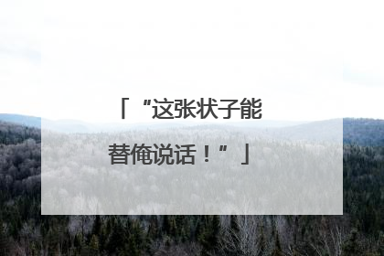 “这张状子能替俺说话！”