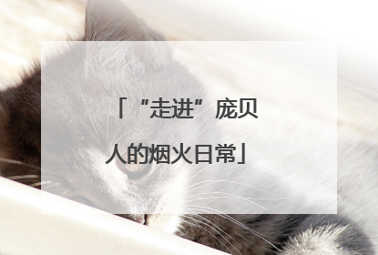 “走进”庞贝人的烟火日常