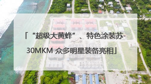 “超级大黄蜂”、特色涂装苏-30MKM 众多明星装备亮相