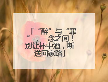 “醉”与“罪”，一念之间！别让杯中酒，断送回家路