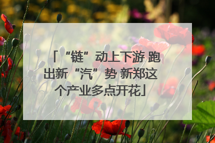 “链”动上下游 跑出新“汽”势 新郑这个产业多点开花