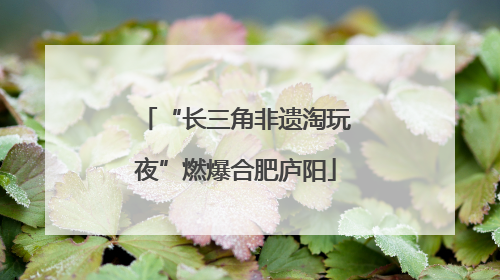 “长三角非遗淘玩夜”燃爆合肥庐阳