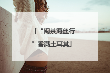 “闽茶海丝行”香满土耳其