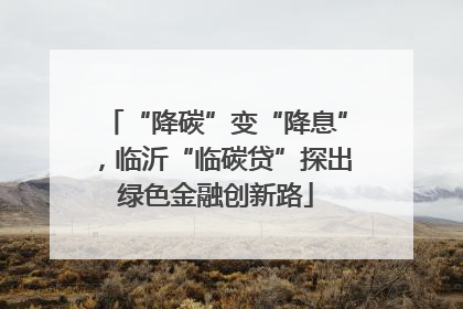“降碳”变“降息”，临沂“临碳贷”探出绿色金融创新路
