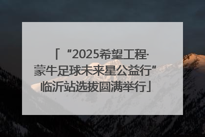 “2025希望工程·蒙牛足球未来星公益行”临沂站选拔圆满举行