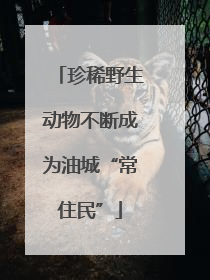 珍稀野生动物不断成为油城“常住民”