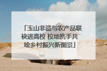 玉山非遗与农产品联袂进高校 校地携手共绘乡村振兴新图景
