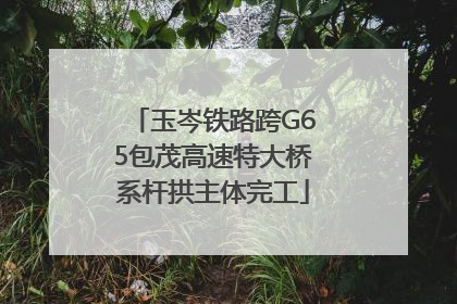 玉岑铁路跨G65包茂高速特大桥系杆拱主体完工