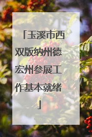 玉溪市西双版纳州德宏州参展工作基本就绪