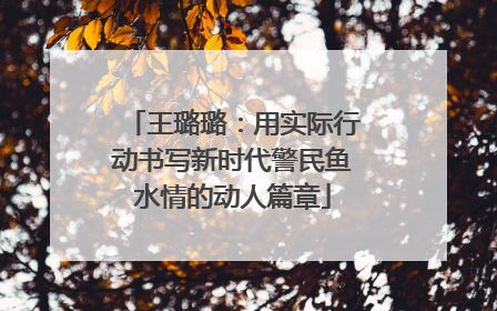 王璐璐：用实际行动书写新时代警民鱼水情的动人篇章