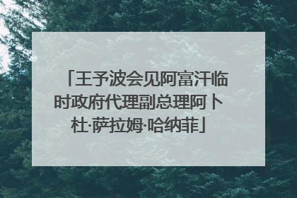 王予波会见阿富汗临时政府代理副总理阿卜杜·萨拉姆·哈纳菲