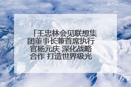 王忠林会见联想集团董事长兼首席执行官杨元庆 深化战略合作 打造世界级光电子信息产业集群