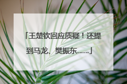 王楚钦回应质疑！还提到马龙、樊振东……