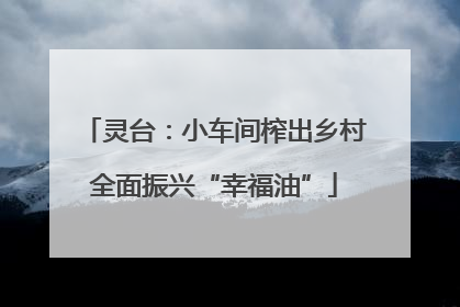 灵台：小车间榨出乡村全面振兴“幸福油”
