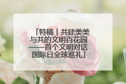 特稿丨共建美美与共的文明百花园——首个文明对话国际日全球巡礼