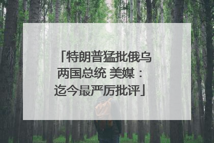 特朗普猛批俄乌两国总统 美媒：迄今最严厉批评