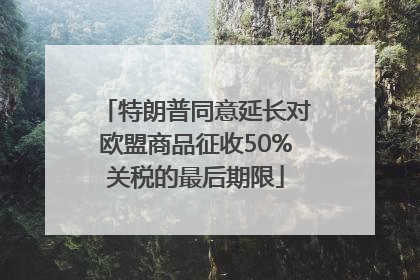 特朗普同意延长对欧盟商品征收50%关税的最后期限