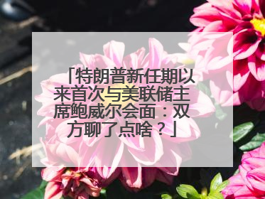 特朗普新任期以来首次与美联储主席鲍威尔会面：双方聊了点啥？