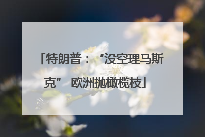 特朗普：“没空理马斯克” 欧洲抛橄榄枝
