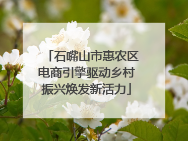 石嘴山市惠农区电商引擎驱动乡村振兴焕发新活力
