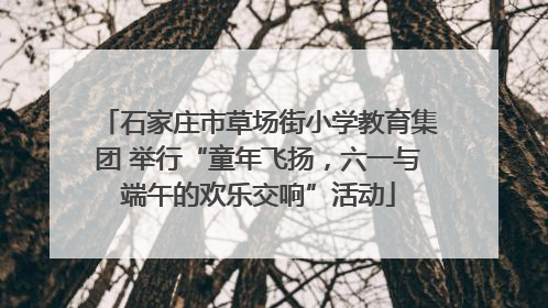 石家庄市草场街小学教育集团 举行“童年飞扬，六一与端午的欢乐交响”活动