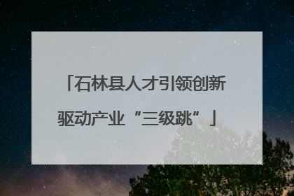 石林县人才引领创新驱动产业“三级跳”