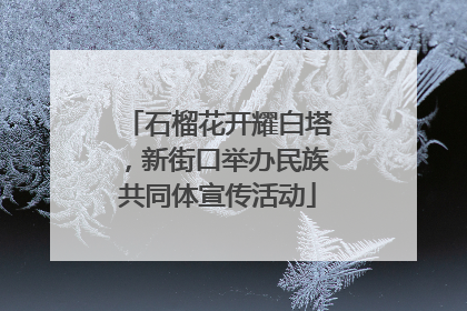 石榴花开耀白塔，新街口举办民族共同体宣传活动