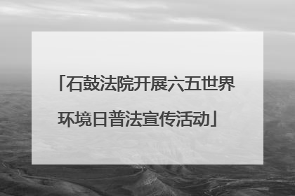 石鼓法院开展六五世界环境日普法宣传活动