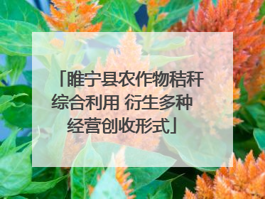 睢宁县农作物秸秆综合利用 衍生多种经营创收形式