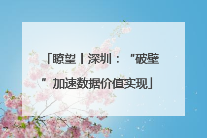 瞭望丨深圳：“破壁”加速数据价值实现
