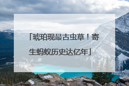 琥珀现最古虫草！寄生蚂蚁历史达亿年