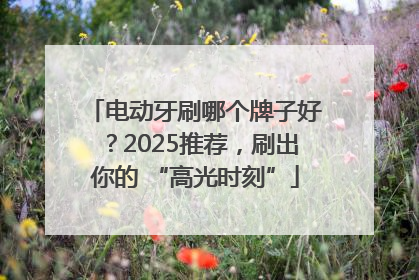 电动牙刷哪个牌子好？2025推荐，刷出你的 “高光时刻”