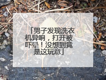男子发现洗衣机异响，打开被吓晕！没想到竟是这玩意