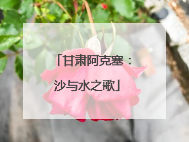 甘肃阿克塞：沙与水之歌