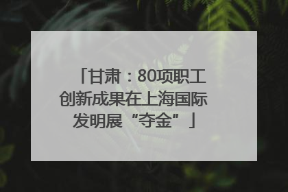 甘肃：80项职工创新成果在上海国际发明展“夺金”