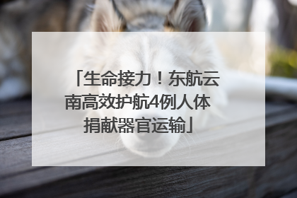 生命接力！东航云南高效护航4例人体捐献器官运输