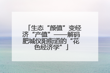生态“颜值”变经济“产值”——解码肥城仪阳街道的“花色经济学”