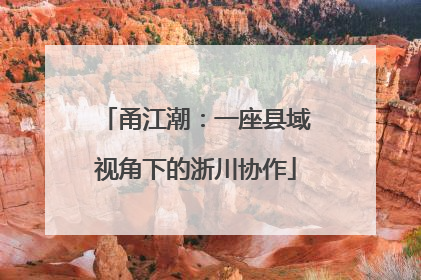 甬江潮：一座县域视角下的浙川协作