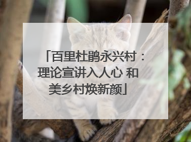 百里杜鹃永兴村：理论宣讲入人心 和美乡村焕新颜