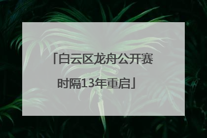 白云区龙舟公开赛时隔13年重启