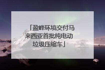 盈峰环境交付马来西亚首批纯电动垃圾压缩车
