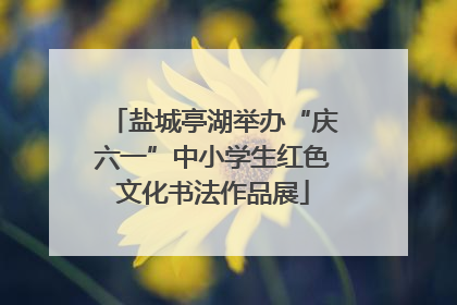 盐城亭湖举办“庆六一”中小学生红色文化书法作品展