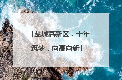 盐城高新区：十年筑梦，向高向新