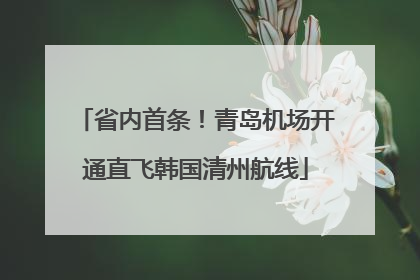 省内首条！青岛机场开通直飞韩国清州航线