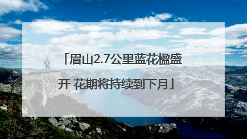 眉山2.7公里蓝花楹盛开 花期将持续到下月