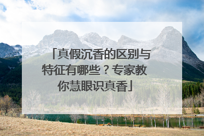 真假沉香的区别与特征有哪些？专家教你慧眼识真香