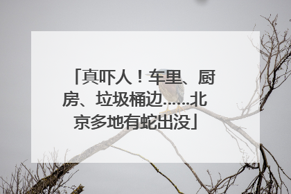 真吓人！车里、厨房、垃圾桶边……北京多地有蛇出没
